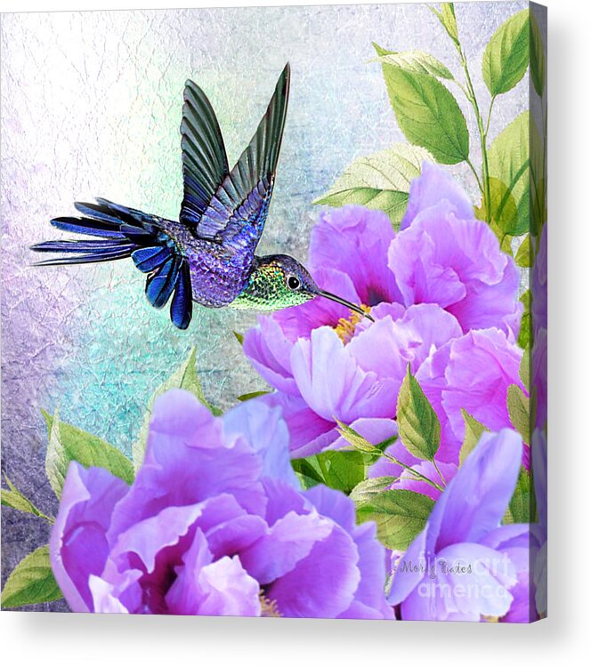 Humming Bird On Flowers Acrylic Print featuring the digital art Purple Pleasure by Morag Bates