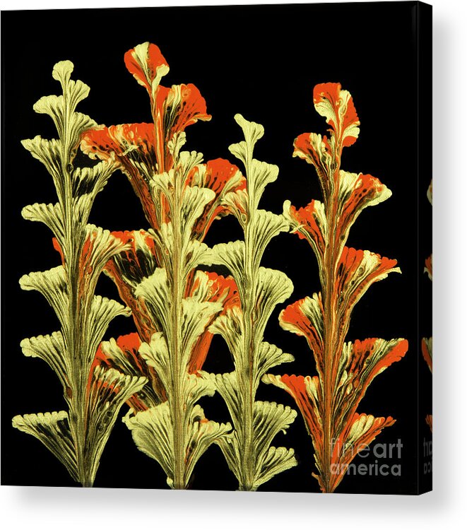 Poured Acrylics Acrylic Print featuring the painting Red and Gold Floral by Lucy Arnold