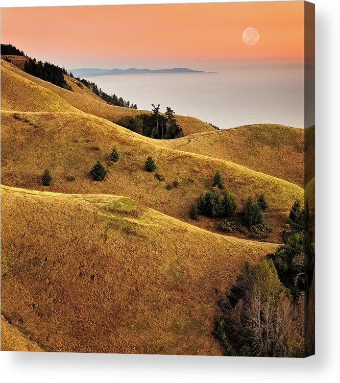 Tranquility Acrylic Print featuring the photograph Rolling Hills Marin County by Neal Pritchard Photography