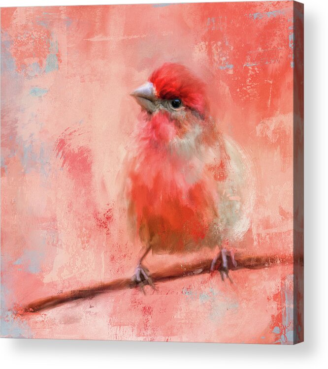Colorful Acrylic Print featuring the painting Rosey Cheeks by Jai Johnson