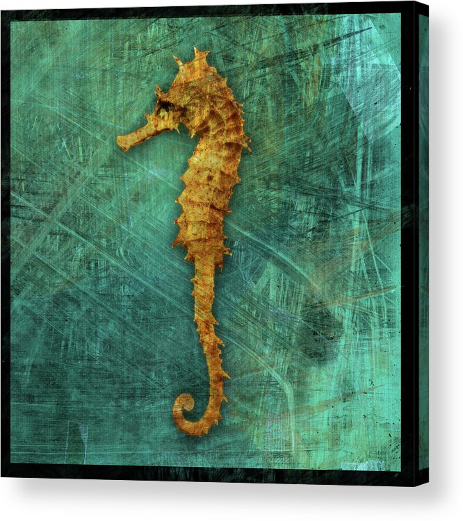 Seahorse Acrylic Print featuring the digital art Seahorse by John W. Golden