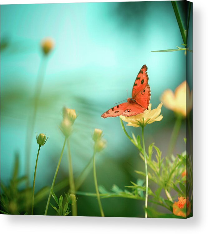 Animal Themes Acrylic Print featuring the photograph She Rests In Beauty by Patricia Ramos