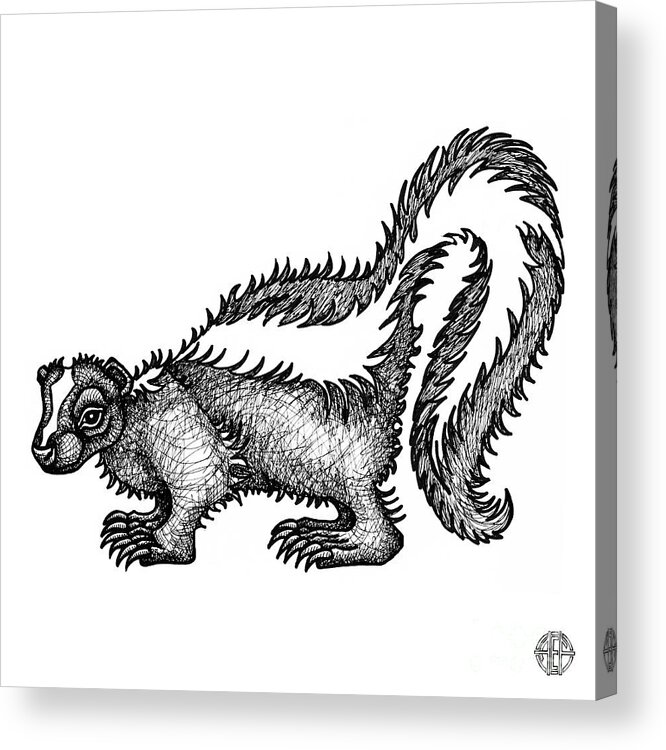 Animal Portrait Acrylic Print featuring the drawing Skunk by Amy E Fraser