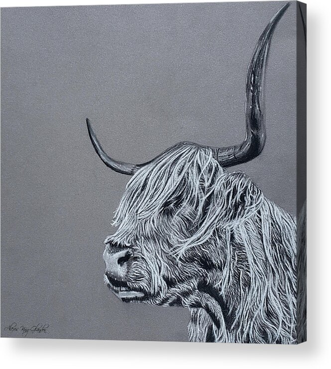 Cow Acrylic Print featuring the digital art Sleepy Scottish Highland by Alexis King-Glandon