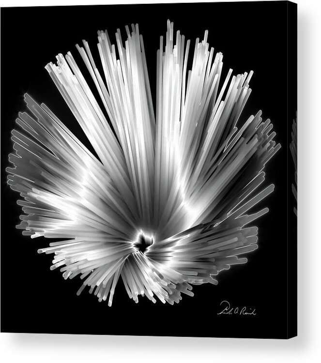Black & White Acrylic Print featuring the photograph Solarized Spaghetti by Frederic A Reinecke