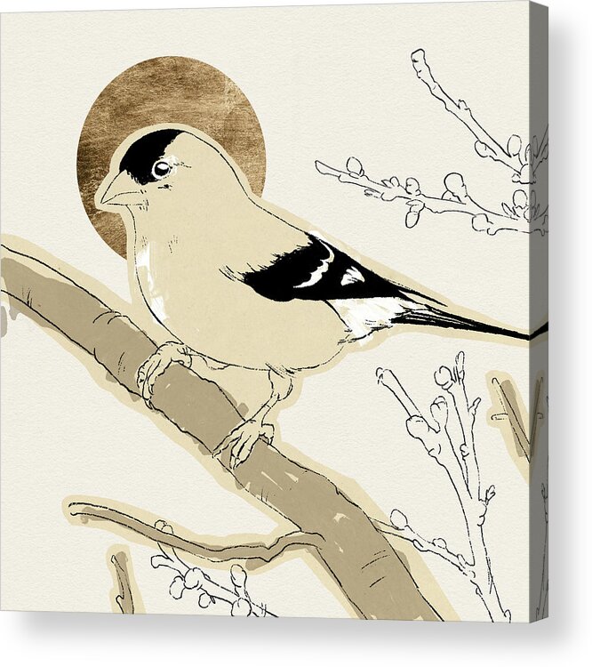 Animals Nature Acrylic Print featuring the painting Spring Passerine Iv by Jacob Green