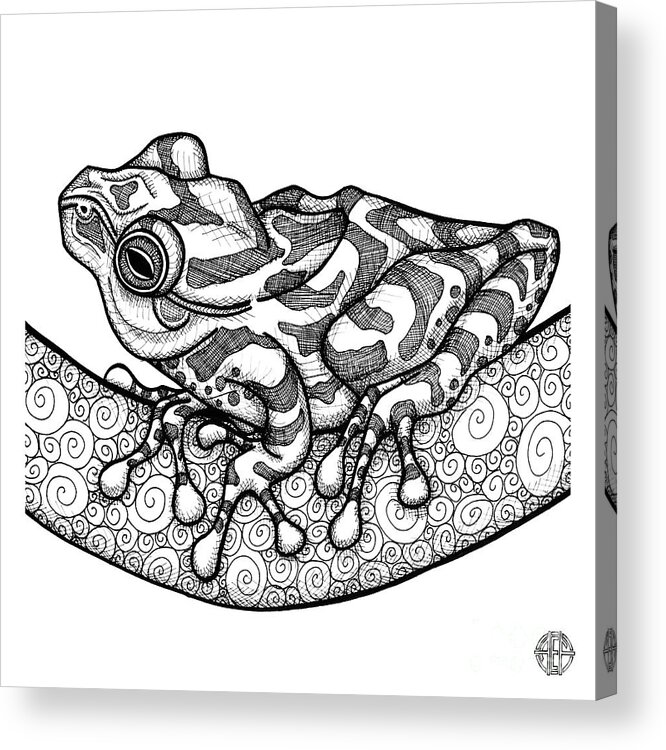 Frog Acrylic Print featuring the drawing Spring Peeper by Amy E Fraser