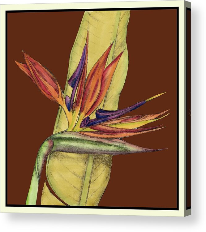 Botanical & Floral Acrylic Print featuring the painting Striking Tropical I by Jennifer Goldberger