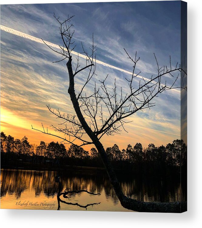 Sunrise Acrylic Print featuring the photograph Success by Elizabeth Harllee