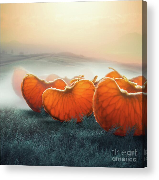 Giant Acrylic Print featuring the photograph Surreal Giant Tangerine Segments by Vizerskaya