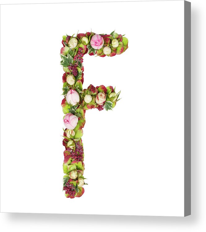White Background Acrylic Print featuring the photograph The Capital Letter F by Photostock-israel
