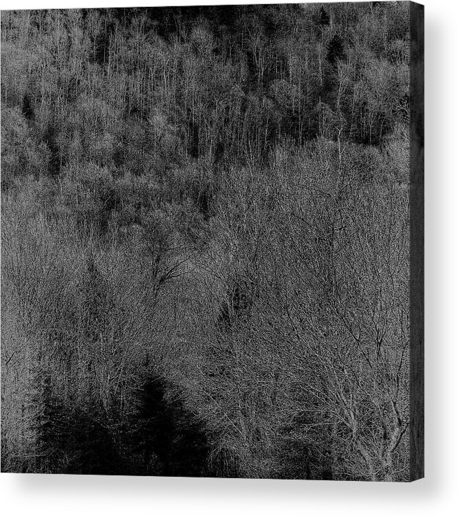 The Hillside Acrylic Print featuring the photograph The Hillside by David Patterson