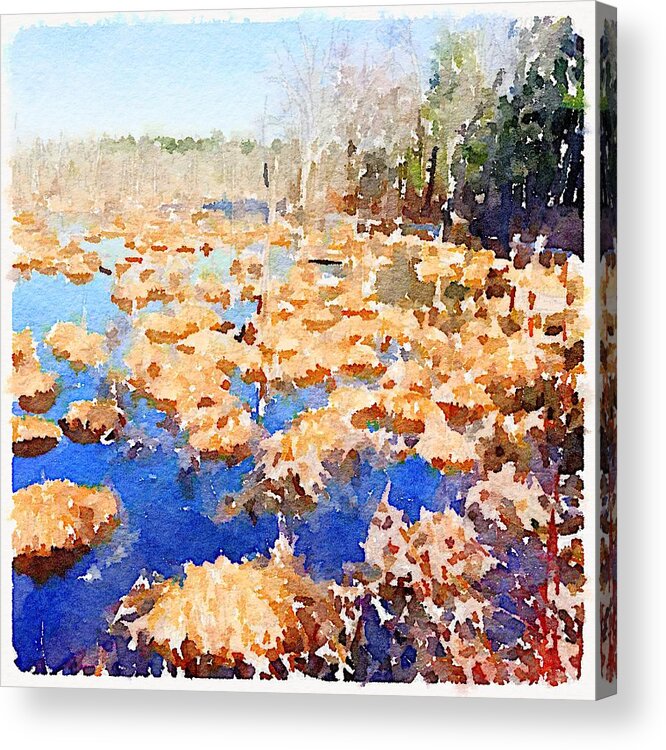 Photoshopped Image Acrylic Print featuring the digital art The swamp in January by Steve Glines