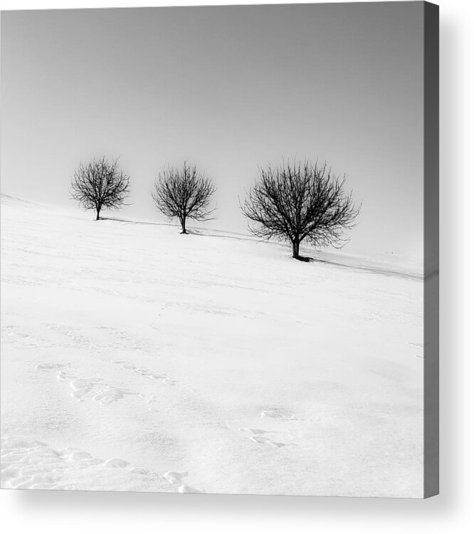 Minimalism Acrylic Print featuring the photograph Three Friend by Mohammad Alipour