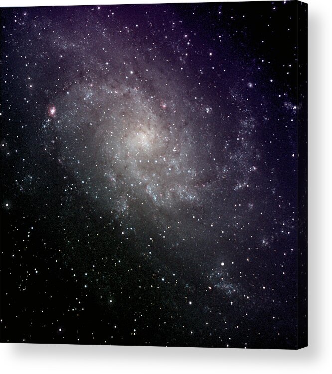 New Mexico Acrylic Print featuring the photograph Triangulum Galaxy by A. V. Ley