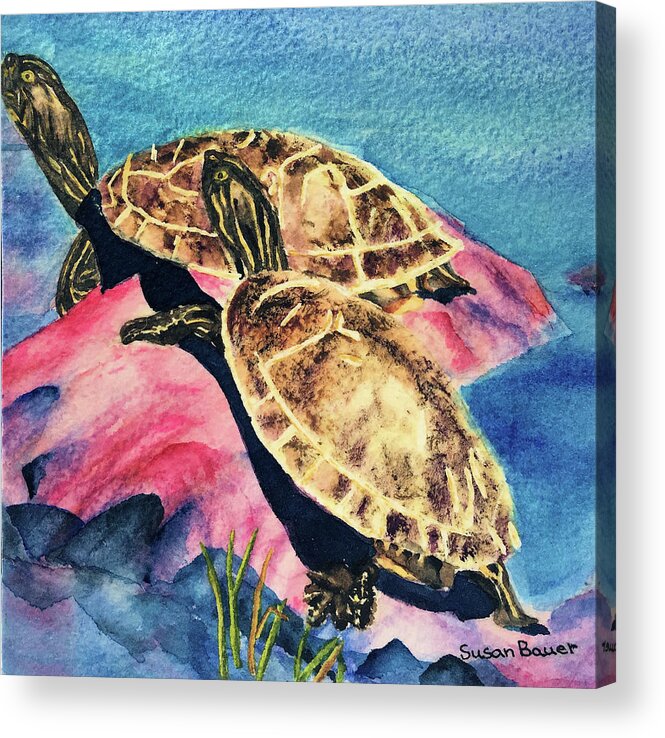 Animals Acrylic Print featuring the painting Turtles by Susan Bauer