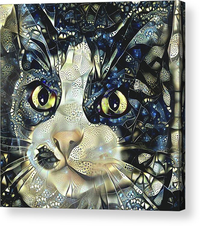 Black And White Cat Acrylic Print featuring the digital art Versacci the Black and White Rescue Cat by Peggy Collins