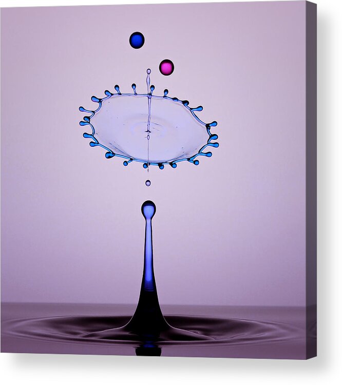 Drop Acrylic Print featuring the photograph Water Drops by Edy Pamungkas