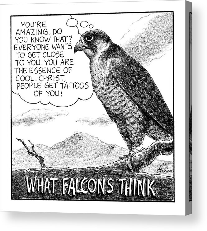What Falcons Think Falcon Acrylic Print featuring the drawing What Falcons Think by Harry Bliss