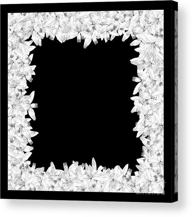  White Acrylic Print featuring the digital art White Black Lily Flower Frame by Delynn Addams