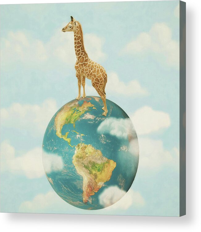 World Giraffe Day Acrylic Print featuring the photograph World Giraffe Day by Carrie Ann Grippo-Pike