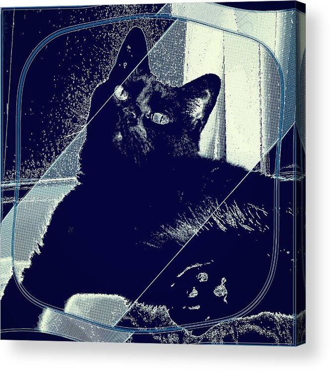 Cat Acrylic Print featuring the digital art # 40 by Marko Sabotin