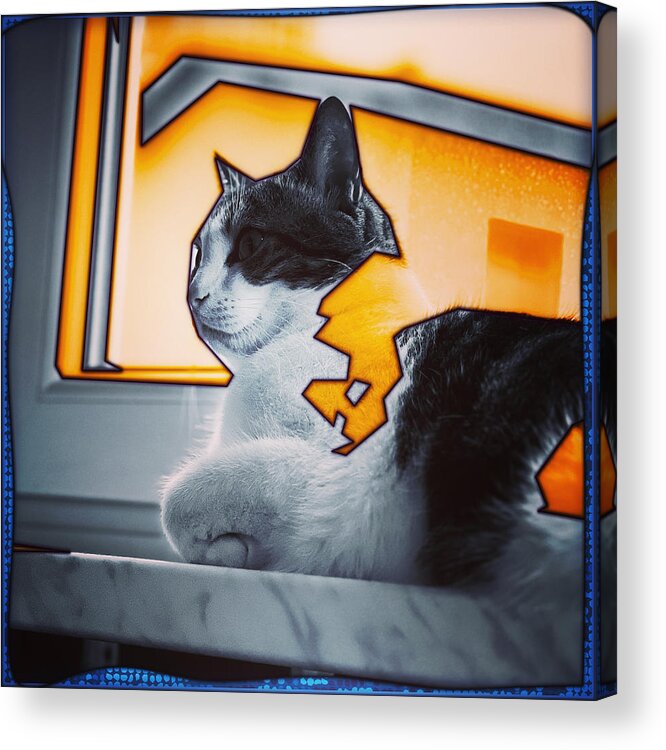 Cat Acrylic Print featuring the digital art 09.05.2023 - 04 #09052023 by Marko Sabotin