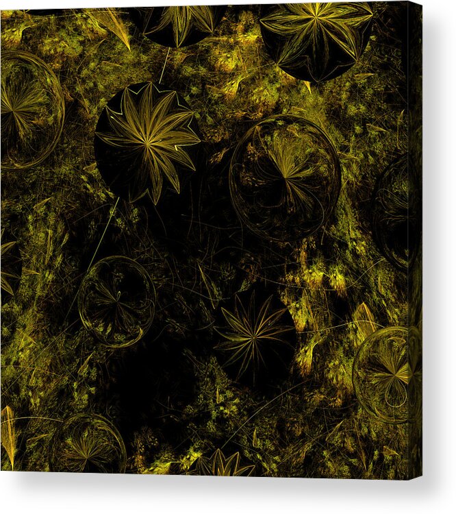 Fractal Acrylic Print featuring the digital art Equinox #1 by Mary Ann Benoit