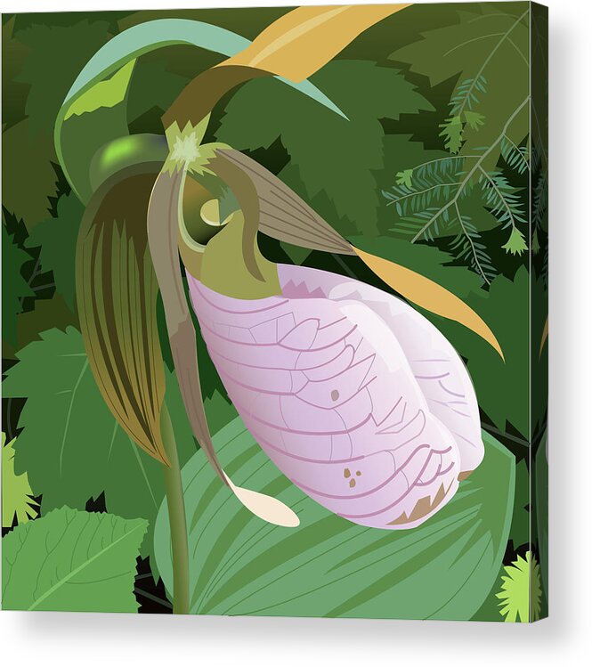 Wildflower Acrylic Print featuring the digital art Lady Slipper #2 by Marian Federspiel
