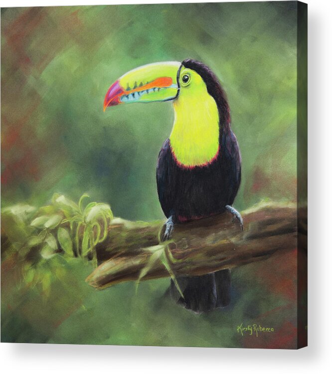 Toucan Acrylic Print featuring the pastel Paradise by Kirsty Rebecca