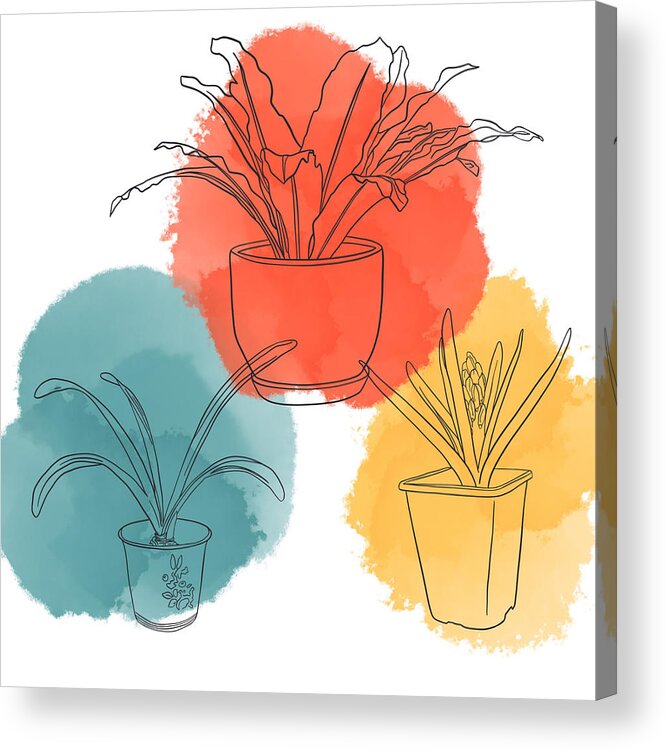 Watercolor Acrylic Print featuring the digital art Potted Plants #1 by Bonnie Bruno