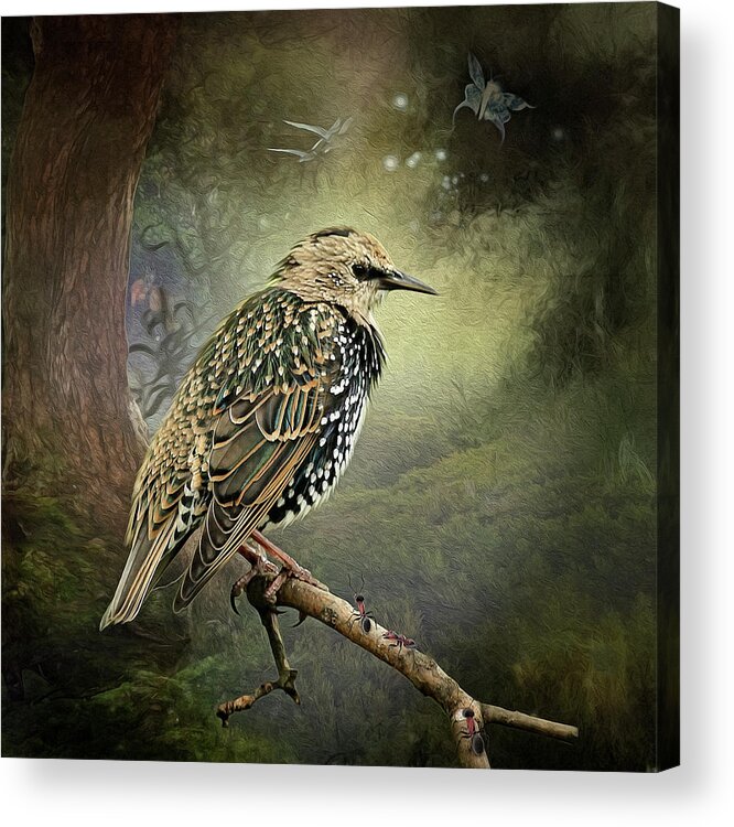 Starling Acrylic Print featuring the digital art Starling #2 by Maggy Pease