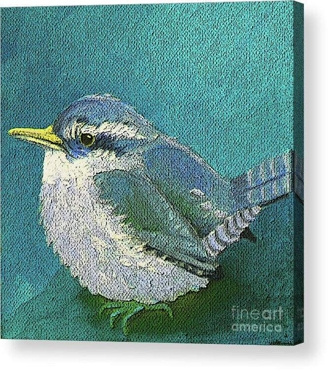 Bird Acrylic Print featuring the painting 23 B Blue Green Wren by Victoria Page