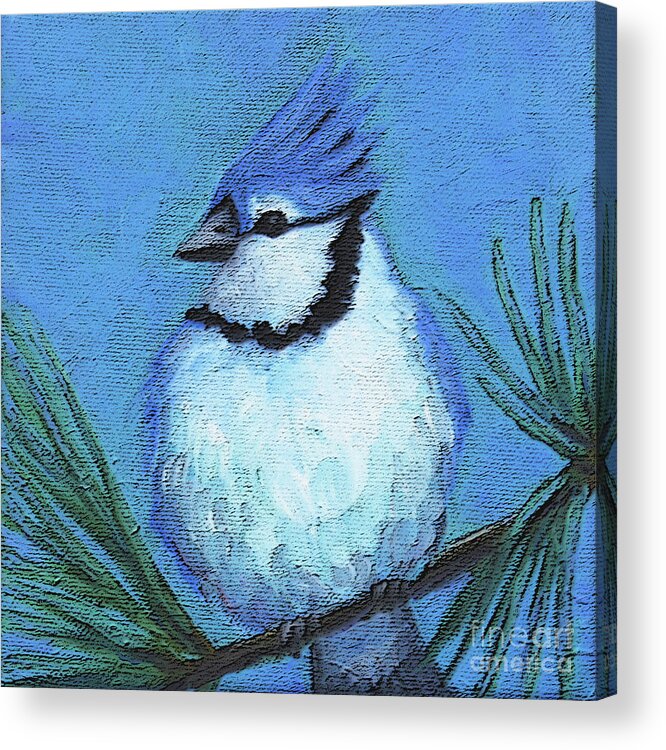 Blue Acrylic Print featuring the painting 6 Blue Jay by Victoria Page