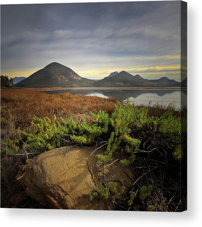  Acrylic Print featuring the photograph Morro Bay Estuary #6 by Lars Mikkelsen