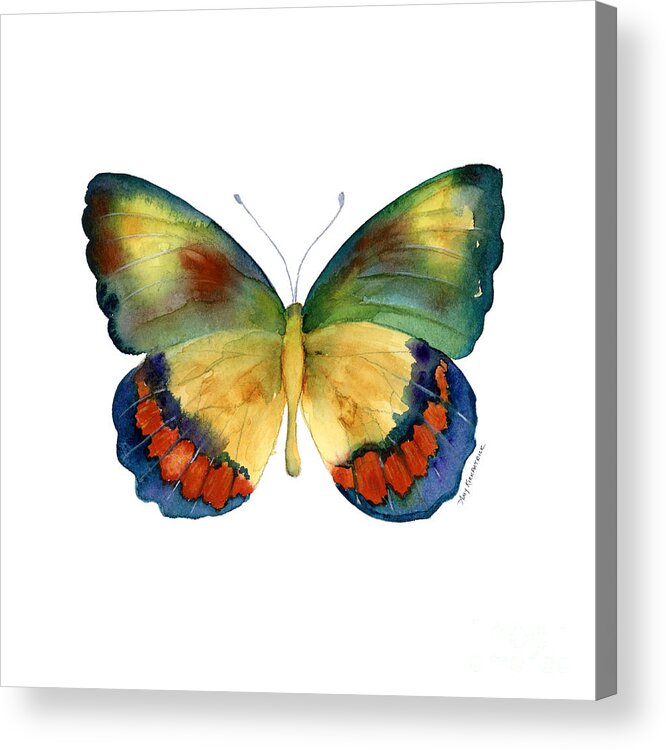 Bagoe Butterfly Acrylic Print featuring the painting 67 Bagoe Butterfly by Amy Kirkpatrick
