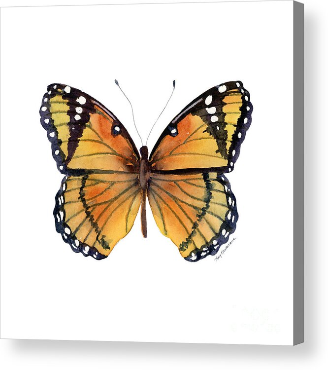 Viceroy Acrylic Print featuring the painting 76 Viceroy Butterfly by Amy Kirkpatrick