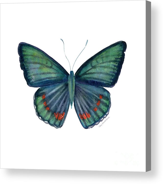 Teal Green Butterfly Acrylic Print featuring the painting 82 Bellona Butterfly by Amy Kirkpatrick