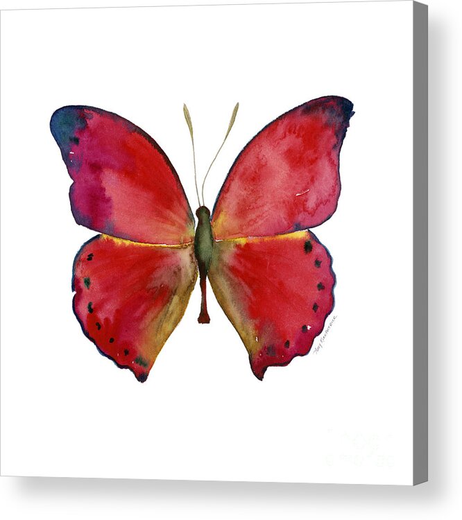 Red Butterfly Acrylic Print featuring the painting 83 Red Glider Butterfly by Amy Kirkpatrick