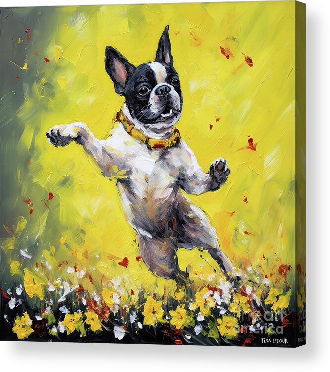 French Bulldog Acrylic Print featuring the painting Action Jackson by Tina LeCour