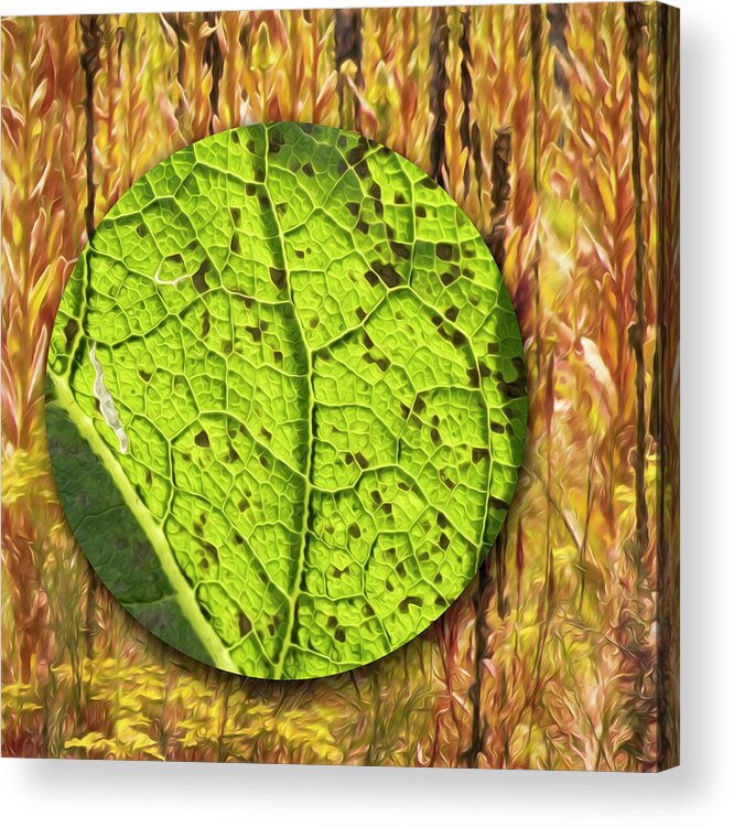 Imaginary Lands Acrylic Print featuring the digital art Adrift In The Velvet Leaf Forest by Becky Titus