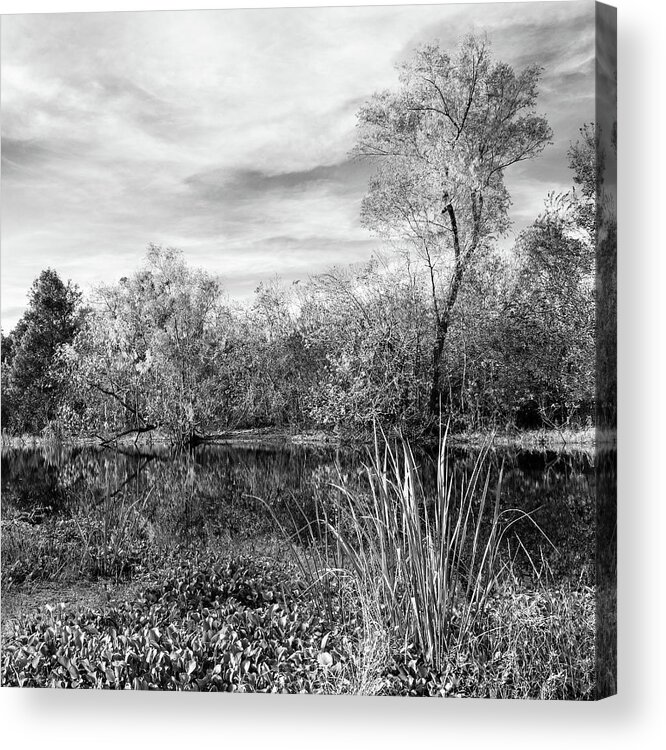 B&w Acrylic Print featuring the photograph Along The Shore - Near And Far by Mike Schaffner
