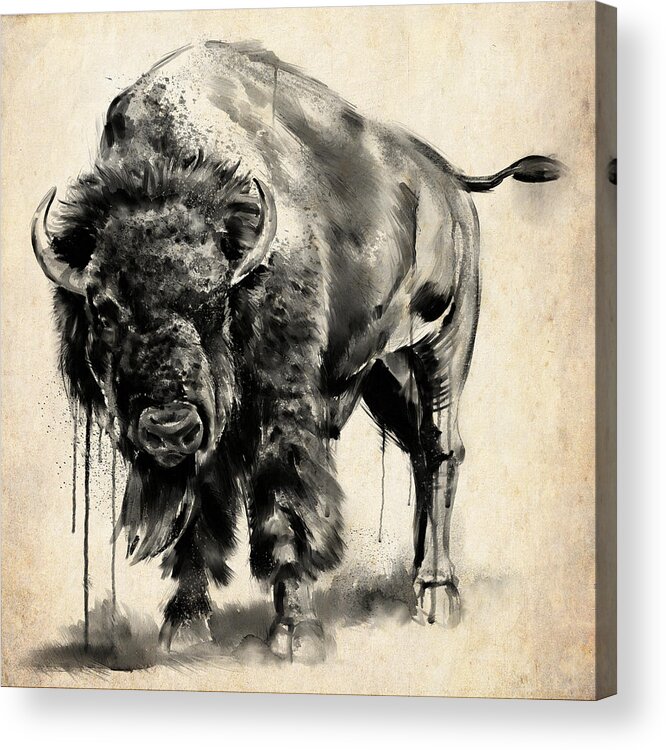 Bison Acrylic Print featuring the digital art American Bison Study by Shawn Conn