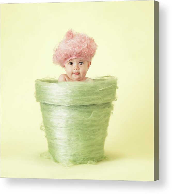 Flowerpot Acrylic Print featuring the photograph Annabelle in Flowerpot by Anne Geddes
