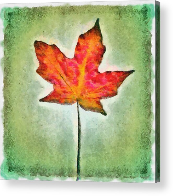 Leaf Acrylic Print featuring the mixed media Autumn Leaf by Christopher Reed