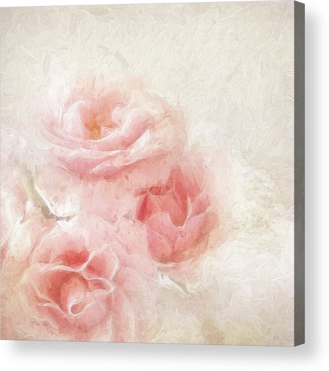 Floral Acrylic Print featuring the photograph Baby Roses by Karen Lynch