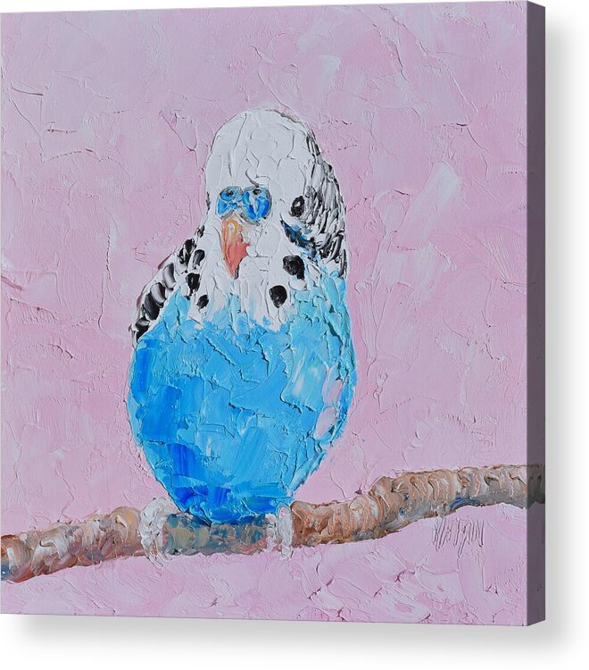 Budgerigar Acrylic Print featuring the painting Banjo, the blue budgie by Jan Matson