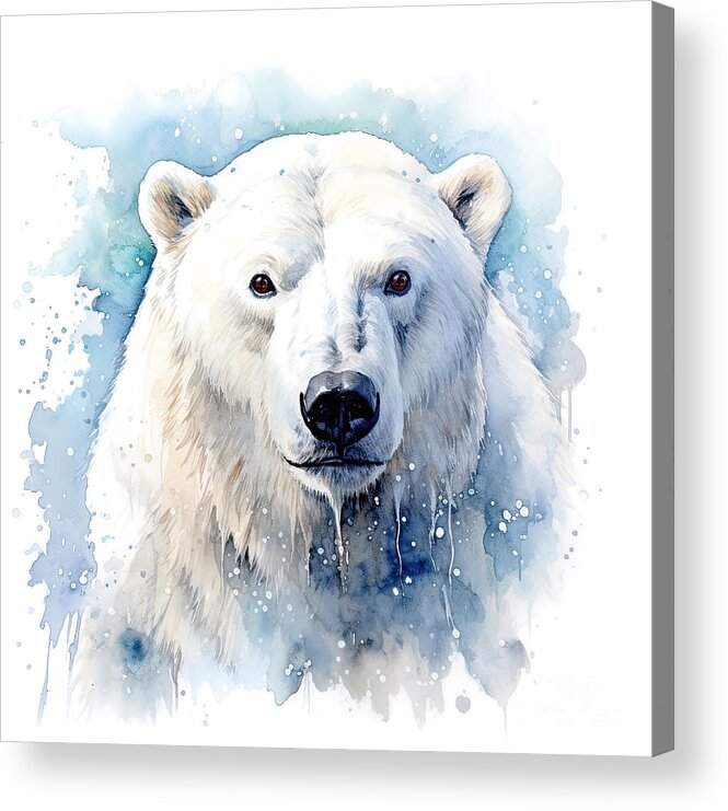 Polar Bear Acrylic Print featuring the digital art Beautiful white polar bear portrait, ursus maritimus, with snow. Digital watercolour illustration over white background. by Jane Rix