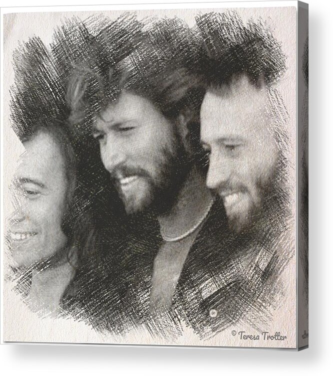 Bee Gees Acrylic Print featuring the drawing Bee Gees Sketch by Teresa Trotter