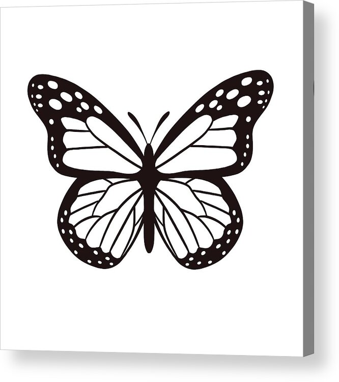 Black and White Butterfly Acrylic by Nicole Wilson -